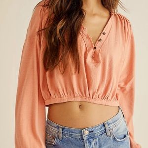 Free People We The Free Darren Tee Crop Top In Savannah Red Size Large